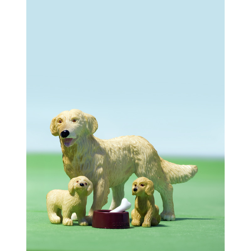 Set - Hond met puppy's
