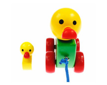 Trekfiguur eend met jong (gekleurd) Trekfiguur eend met jong (gekleurd)