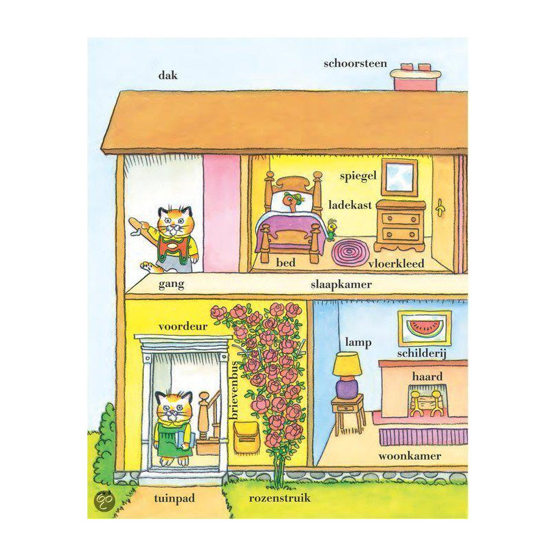 Oranjeselectie Oranjeselectie