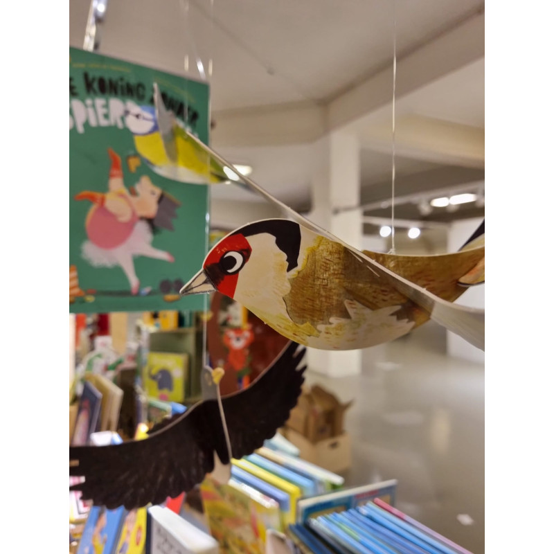 Veren maken de vogel