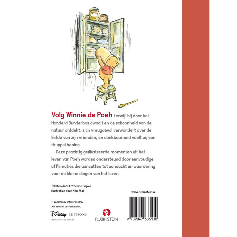Winnie de Poeh: De kleine dingen van het leven. Reflecties uit het Honderd Bunderbos Winnie de Poeh: De kleine dingen van het leven. Reflecties uit het Honderd Bunderbos