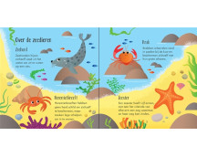 Diep in de zee, memory en bingo Diep in de zee, memory en bingo