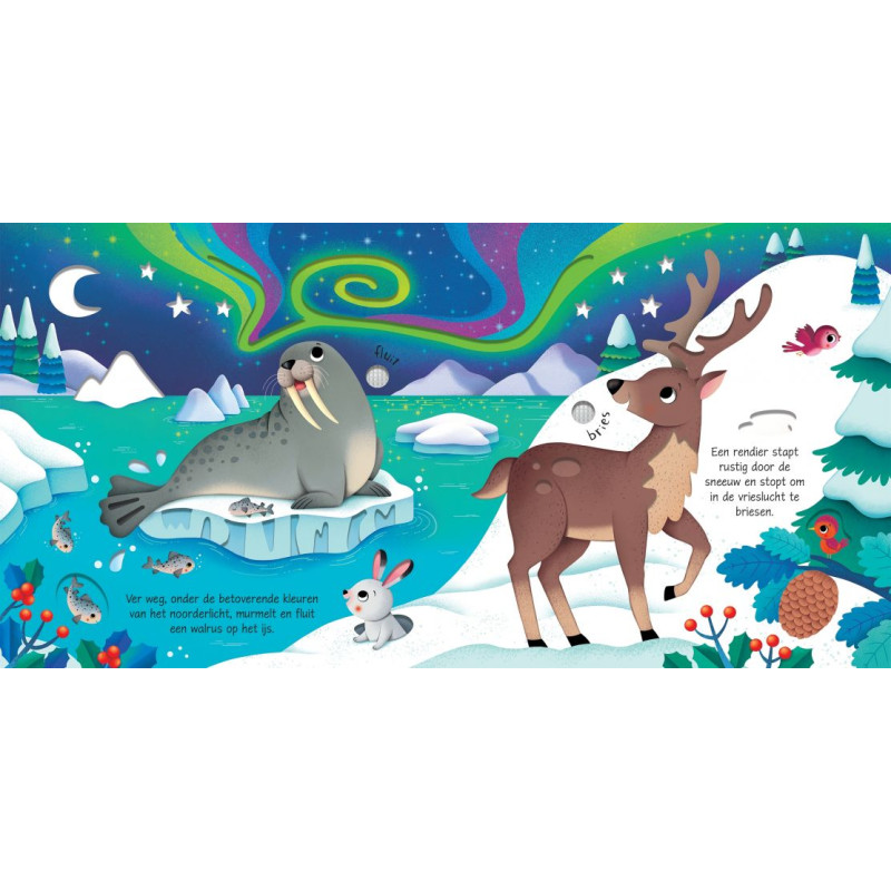 Usborne Geluidsboekjes - Wilde dieren Usborne Geluidsboekjes - Wilde dieren