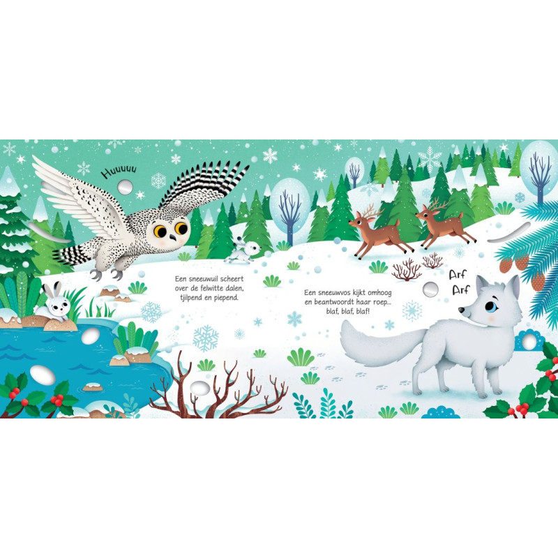 Usborne Geluidsboekjes - Dieren op de Noordpool