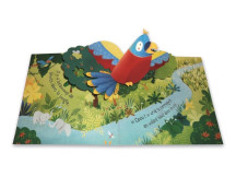 Pop-up - Jungle