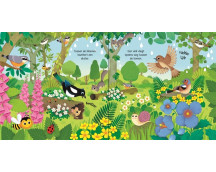 Usborne Geluidsboekjes - Vogels Usborne Geluidsboekjes - Vogels