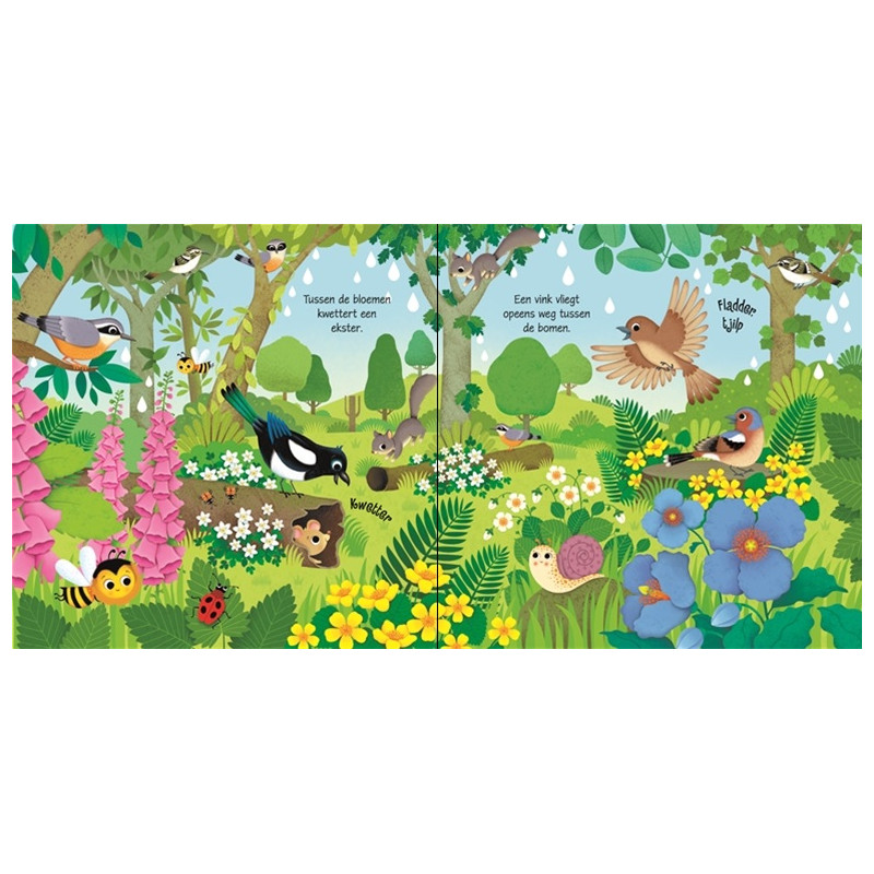 Usborne Geluidsboekjes - Vogels Usborne Geluidsboekjes - Vogels