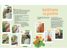 De Moestuinman - Iedereen kan moestuinie