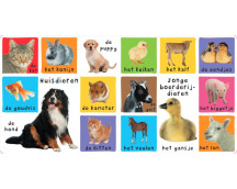 Mijn eerste 100 dieren (flapjesboek)