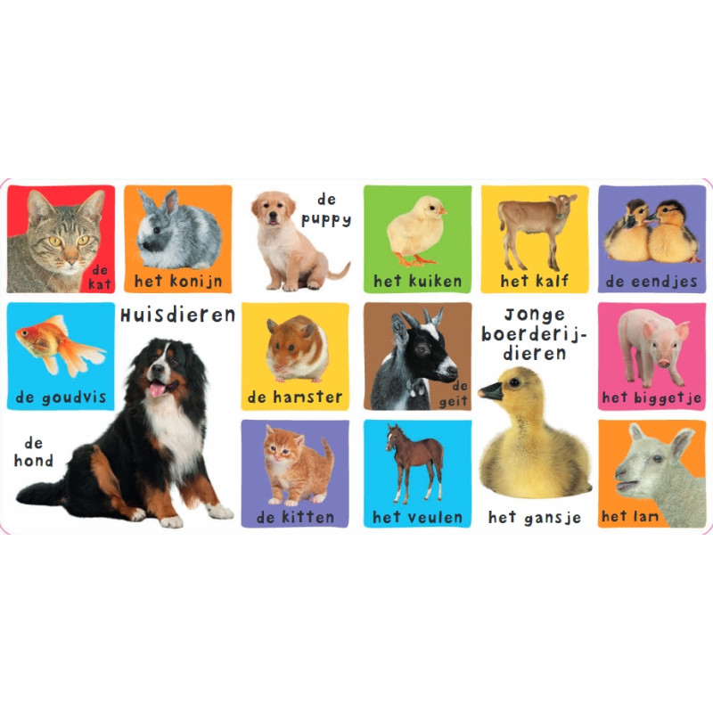 Mijn eerste 100 dieren (flapjesboek)