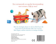 Dieren - vormen Dieren - vormen