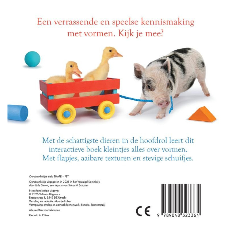 Dieren - vormen Dieren - vormen