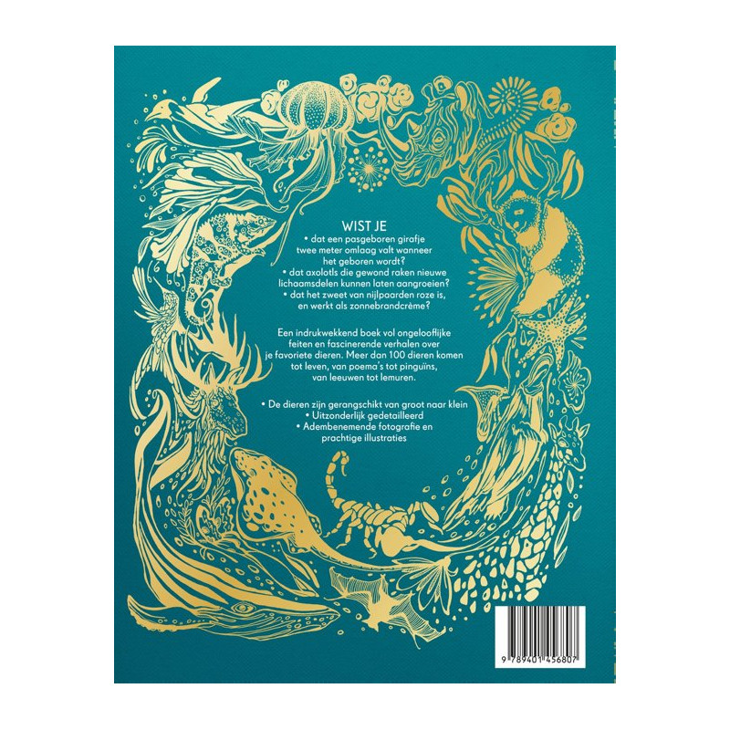 Het dikke boek van alle bijzondere dieren Het dikke boek van alle bijzondere dieren