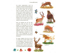 Verwilder de wereld Verwilder de wereld