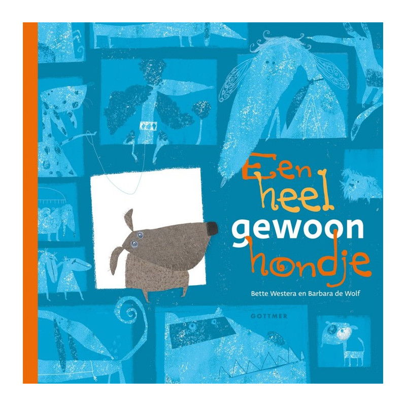 Een heel gewoon hondje