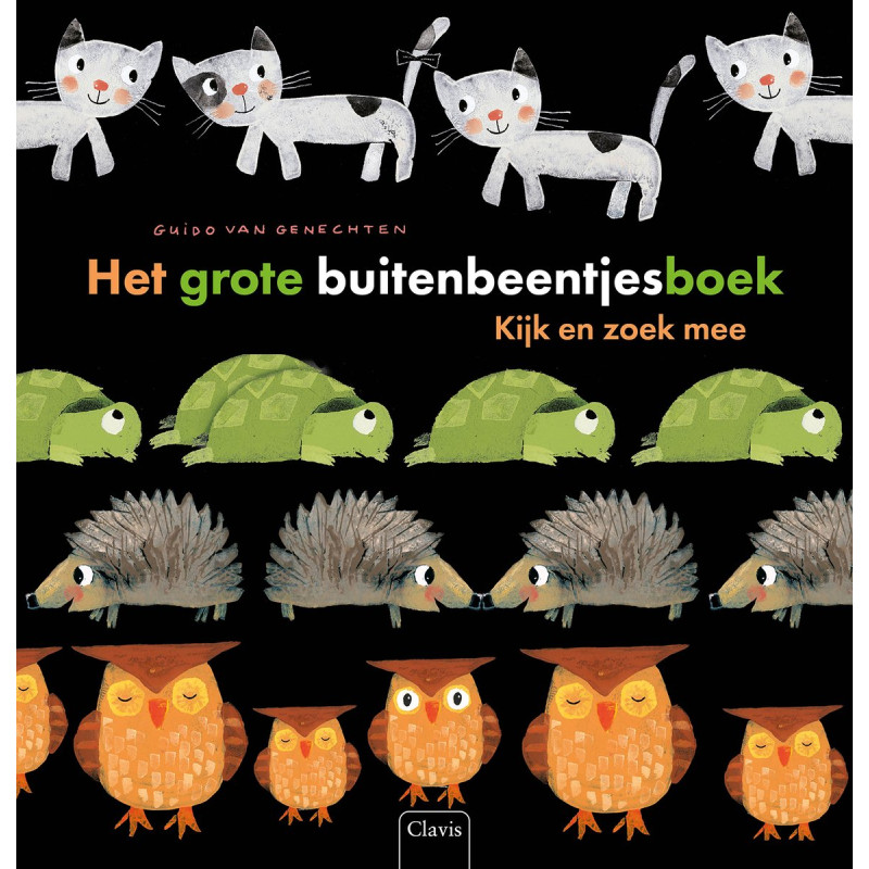 Grote buitenbeentjesboek Grote buitenbeentjesboek