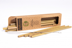 Bamboe rietjes (10 st. met borstel)