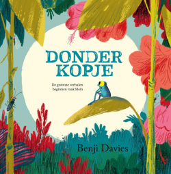 Donderkopje (prentenboek)