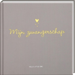 Hello Little one, invulboek - Mijn zwangerschap