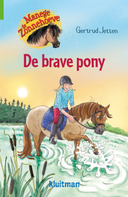 Manege de Zonnehoeve- De brave pony