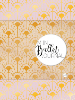 Mijn Bullet Journal - retrochic roze