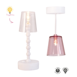 Set - Lampen transparant (vloer+hang)