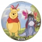 Bal Winnie the Pooh (23cm)