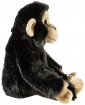 Chimpansee (24cm)