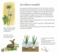 de-moestuin-van-sophie-CZ87092-3.jpg