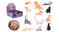 Display Animal World huisdieren, 12 assorti