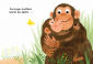 Het grote knuffelboek