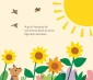 Het is zomer!