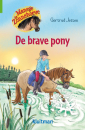 Manege de Zonnehoeve- De brave pony