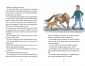 manege-de-zonnehoeve-de-brave-pony-KA63099-1.jpg