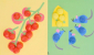 PlayMais® Classic Colours&Forms