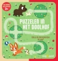 Puzzelen in het doolhof