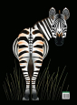Reuzegrote dierenportretten
