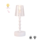 Set - Lampen transparant (vloer+hang)
