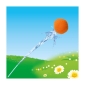 Splash waterballen XXL